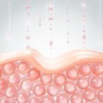 The Glycation Matrix: How Sugar “Caramelizes” Your Dermal Collagen