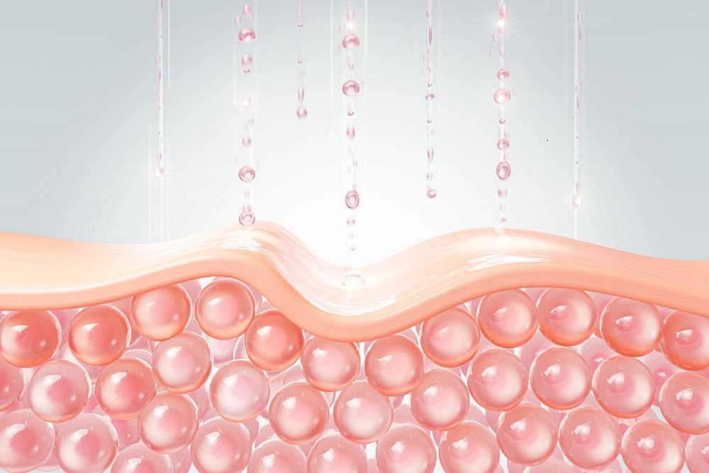 You are currently viewing The Glycation Matrix: How Sugar “Caramelizes” Your Dermal Collagen