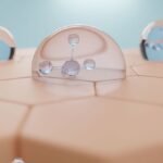 The Cellular Skincare Trinity: How to Program Your Skin for Longevity