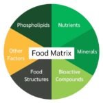 The Micro-Nutrient Matrix: How Your Internal Health Dictates Aesthetic Success